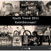 Indonesian Youth market trends 2012: flashback youth market review and data of 2011 Kaleidoscope